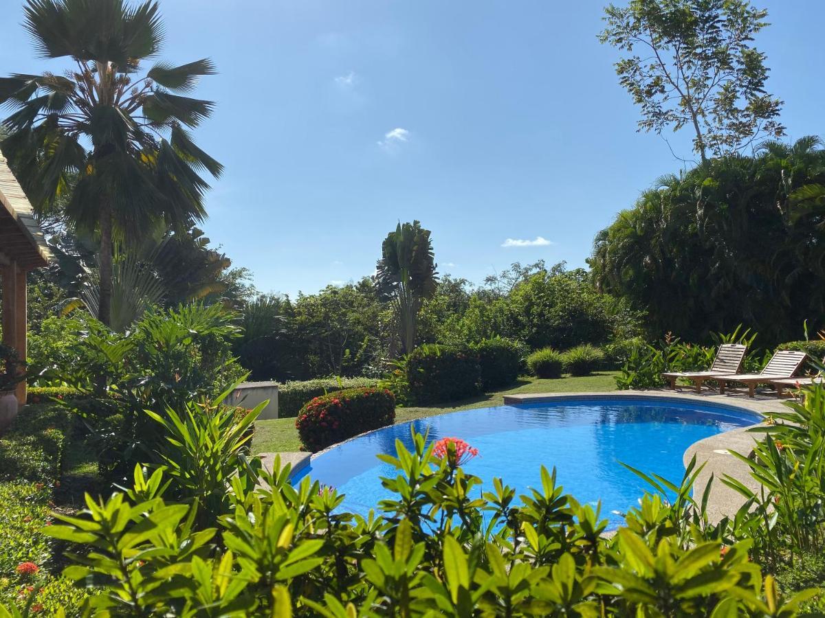 Palm Coast Luxury Rentals Esterillos Este Exterior photo